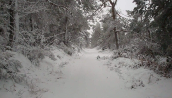 Hacer el Camino de Santiago en invierno