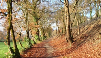 El Camino de Santiago en octubre